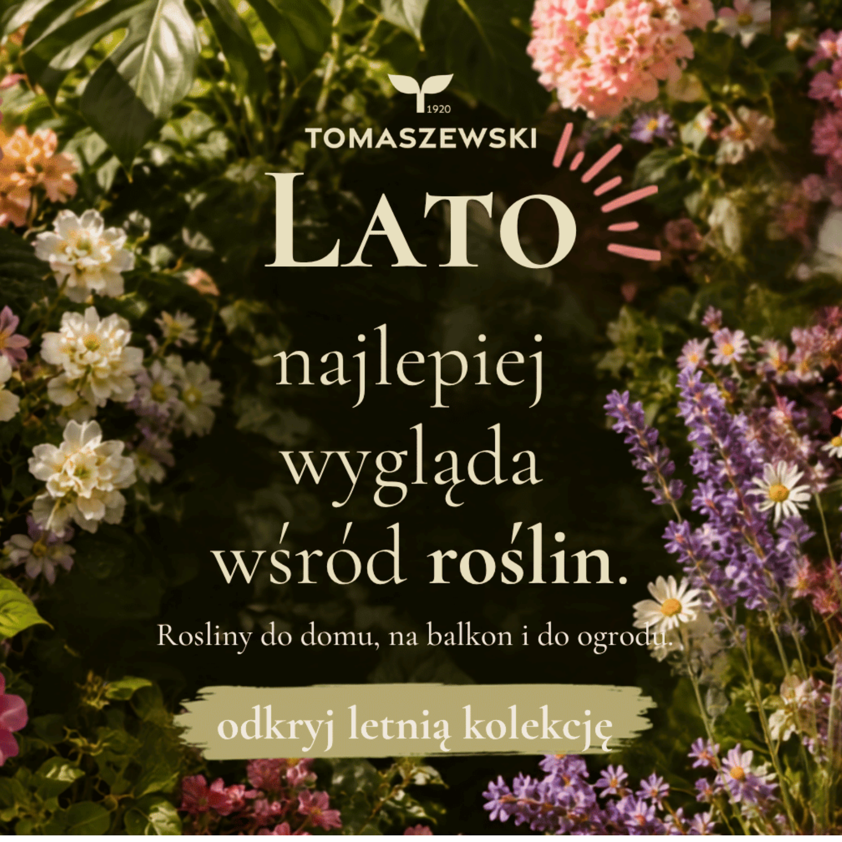 Lato w pełni